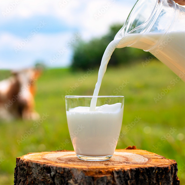 Jarra de leche de vaca echándose en un vaso y de fondo un campo, servicio de leche de la Agropecuaria Carro