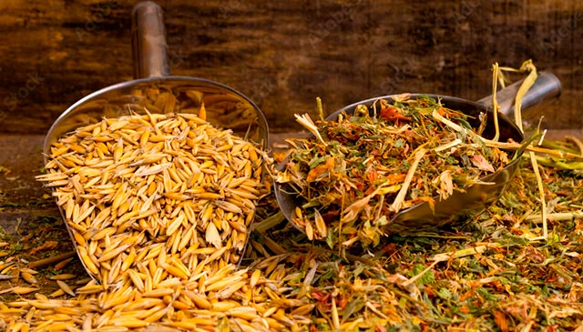 Alimento para ganado, otros cereales que aportan valores nutricionales y propiedades digestivas
