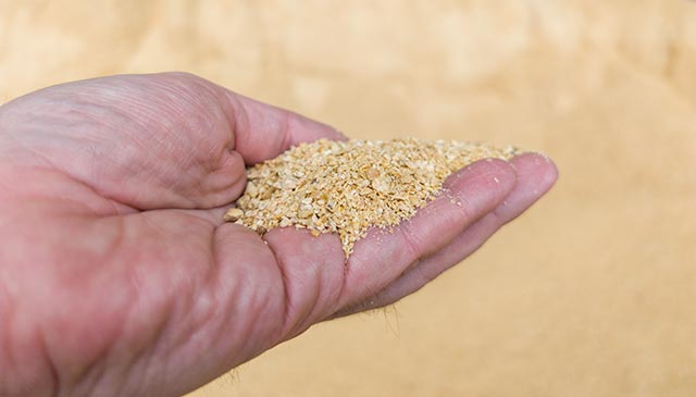 Alimento para ganado llamado soja, aporta energía suficiente para la producción de leche