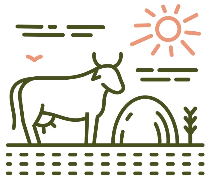 Gráfico de una vaca con un paisaje, tipos de alimentos para el ganado